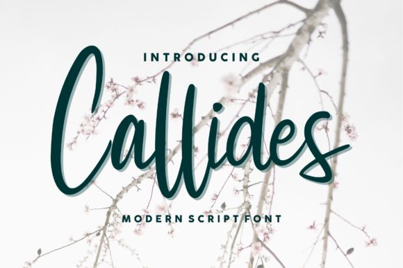 Callides Script: A Sweet Calligraphy Typeface for Designers