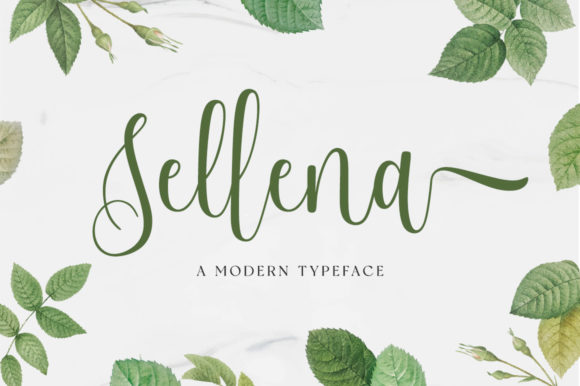 Sellena Script: Crafting Elegant Brand Identities